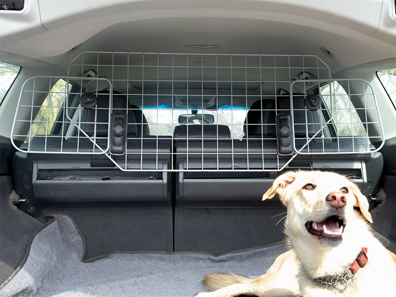 Car Headrest Mesh Dog Guard by UKB4C - Summit Shop