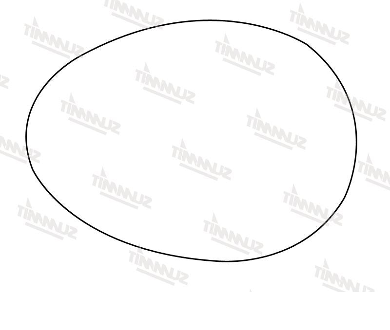 Summit Heated Base Plate With Blind Spot Mirror Glass fits BMW Mini 07 on RHS - Summit Shop